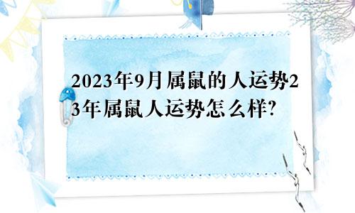 2023年9月属鼠的人运势23年属鼠人运势怎么样？