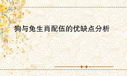 狗与兔生肖配伍的优缺点分析