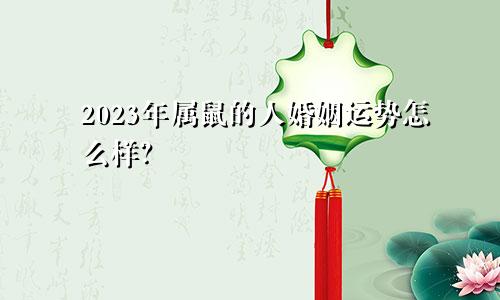 2023年属鼠的人婚姻运势怎么样？
