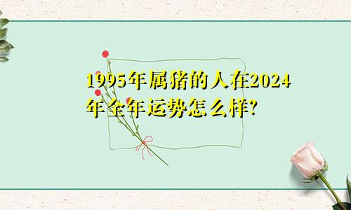 1995年属猪的人在2024年全年运势怎么样？