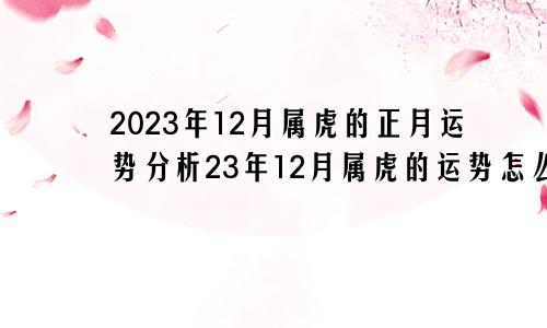 2023年12月属虎的正月运势分析23年12月属虎的运势怎么样？