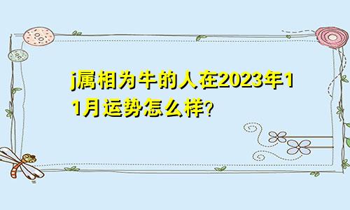 j属相为牛的人在2023年11月运势怎么样？
