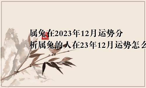 属兔在2023年12月运势分析属兔的人在23年12月运势怎么样？