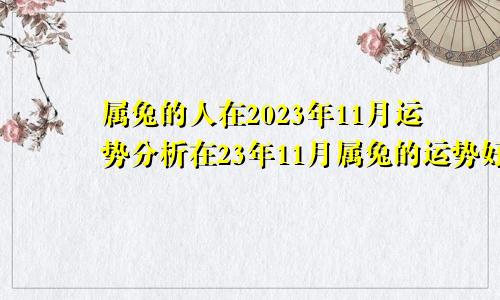 属兔的人在2023年11月运势分析在23年11月属兔的运势好吗？