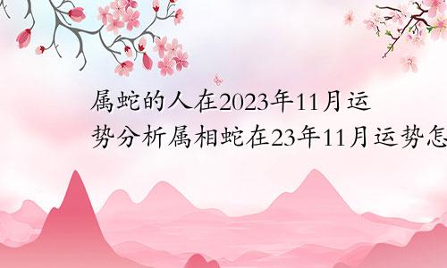 属蛇的人在2023年11月运势分析属相蛇在23年11月运势怎么样？