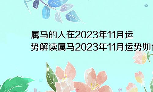 属马的人在2023年11月运势解读属马2023年11月运势如何