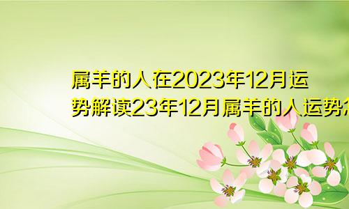 属羊的人在2023年12月运势解读23年12月属羊的人运势怎么样？