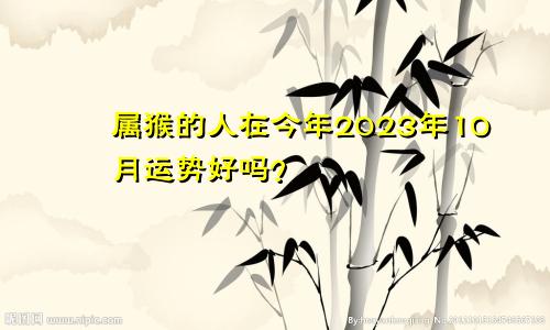 属猴的人在今年2023年10月运势好吗？