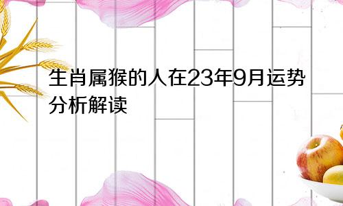 生肖属猴的人在23年9月运势分析解读