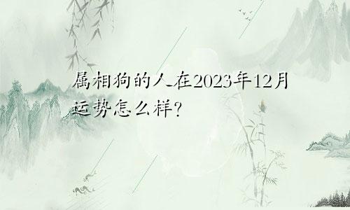 属相狗的人在2023年12月运势怎么样？