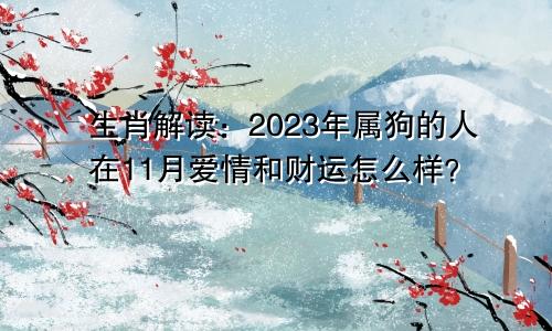 生肖解读：2023年属狗的人在11月爱情和财运怎么样？