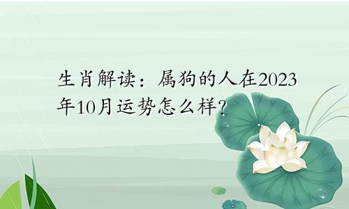 生肖解读：属狗的人在2023年10月运势怎么样？