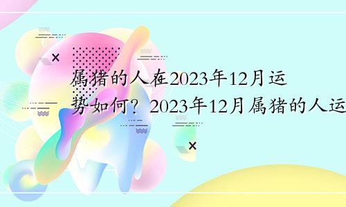 属猪的人在2023年12月运势如何？2023年12月属猪的人运势详解