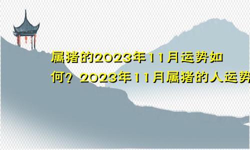 属猪的2023年11月运势如何？2023年11月属猪的人运势详解