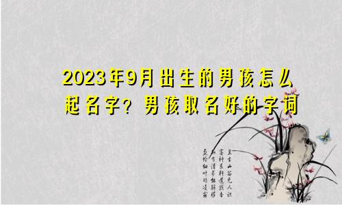 2023年9月出生的男孩怎么起名字?男孩取名好的字词