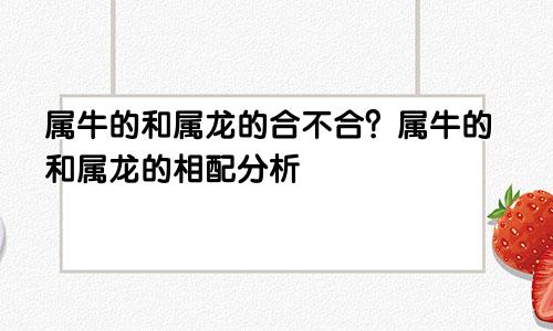 属牛的和属龙的合不合？属牛的和属龙的相配分析