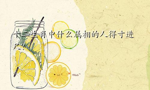 十二生肖中什么属相的人得寸进尺？