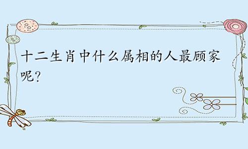 十二生肖中什么属相的人最顾家呢？