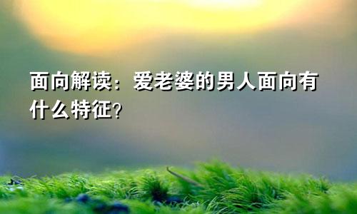 面向解读:爱老婆的男人面向有什么特征?