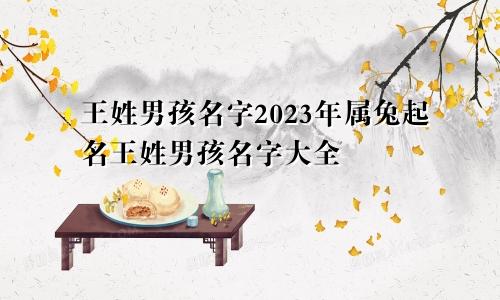 王姓男孩名字2023年属兔起名王姓男孩名字大全