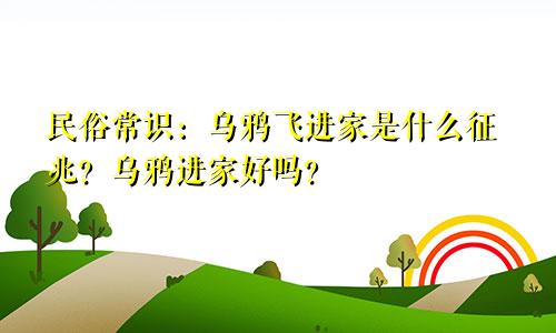 民俗常识：乌鸦飞进家是什么征兆？乌鸦进家好吗？