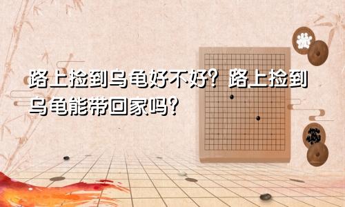路上捡到乌龟好不好?路上捡到乌龟能带回家吗?