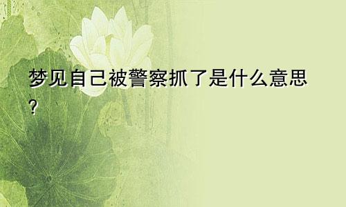梦见自己被警察抓了是什么意思?