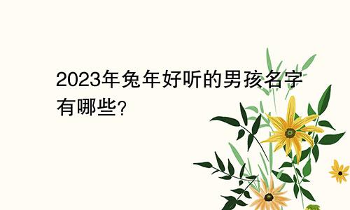 2023年兔年好听的男孩名字有哪些？