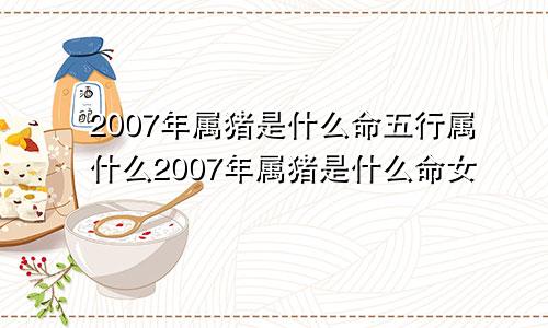 2007年属猪是什么命五行属什么2007年属猪是什么命女