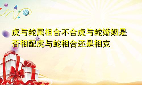虎与蛇属相合不合虎与蛇婚姻是否相配虎与蛇相合还是相克