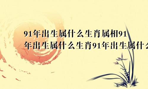 91年出生属什么生肖属相91年出生属什么生肖91年出生属什么命
