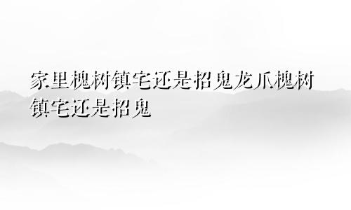 家里槐树镇宅还是招鬼龙爪槐树镇宅还是招鬼