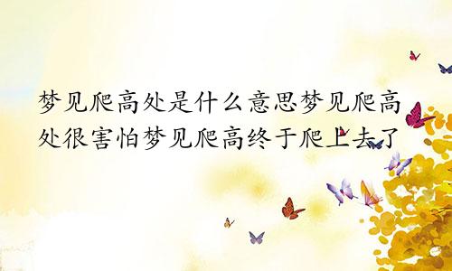 梦见爬高处是什么意思梦见爬高处很害怕梦见爬高终于爬上去了