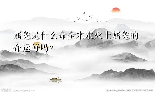 属兔是什么命金木水火土属兔的命运好吗？