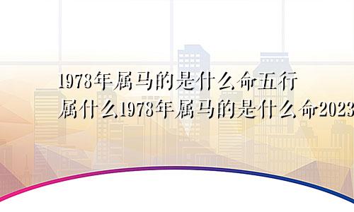 1978年属马的是什么命五行属什么1978年属马的是什么命2023年运程