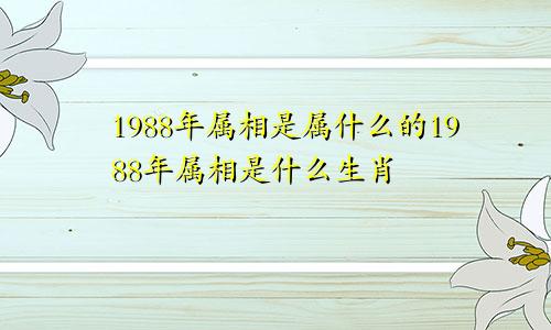 1988年属相是属什么的1988年属相是什么生肖