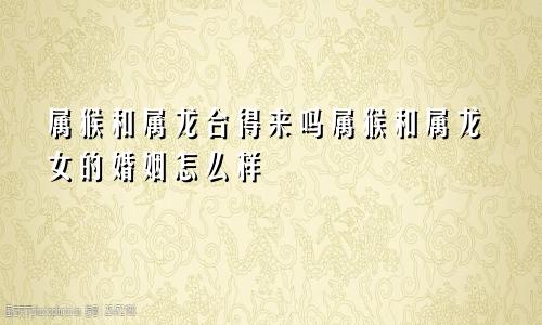 属猴和属龙合得来吗属猴和属龙女的婚姻怎么样