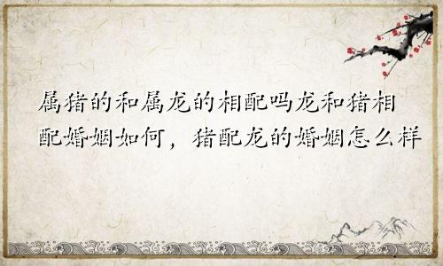 属猪的和属龙的相配吗龙和猪相配婚姻如何，猪配龙的婚姻怎么样