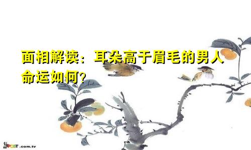 面相解读:耳朵高于眉毛的男人命运如何?