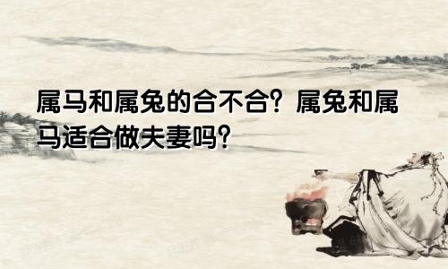 属马和属兔的合不合？属兔和属马适合做夫妻吗？