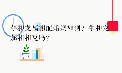 牛和龙属相配婚姻如何？牛和龙属相相克吗？