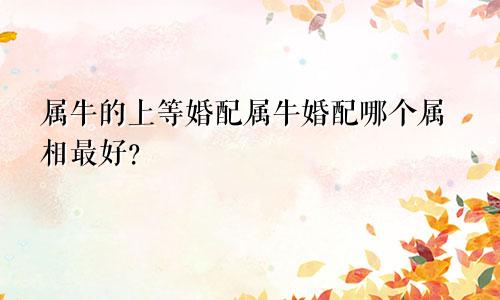 属牛的上等婚配属牛婚配哪个属相最好？
