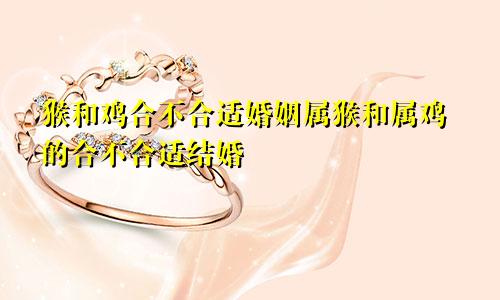 猴和鸡合不合适婚姻属猴和属鸡的合不合适结婚