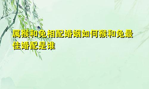 属猴和兔相配婚姻如何猴和兔最佳婚配是谁