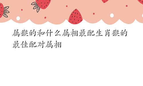 属猴的和什么属相最配生肖猴的最佳配对属相