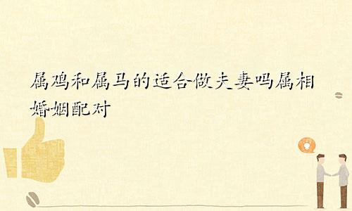 属鸡和属马的适合做夫妻吗属相婚姻配对
