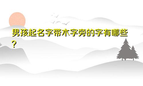 男孩起名字带木字旁的字有哪些？