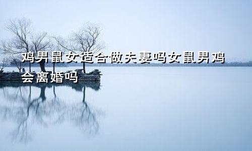 鸡男鼠女适合做夫妻吗女鼠男鸡会离婚吗