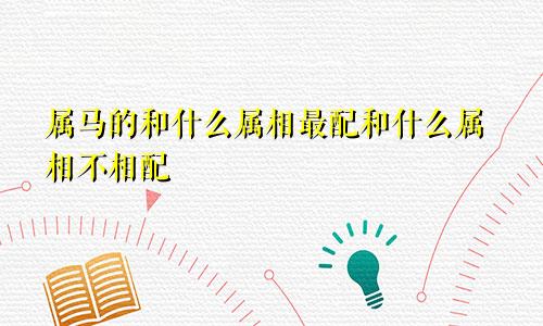 属马的和什么属相最配和什么属相不相配