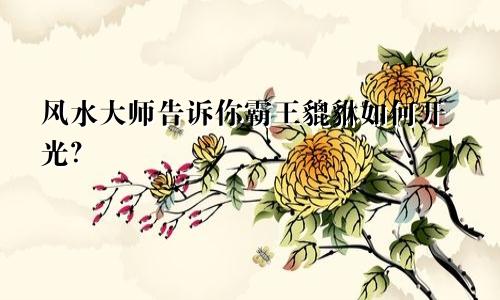 风水大师告诉你霸王貔貅如何开光？